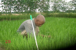 Community Based Rehabilitation picture of a blind man working in field